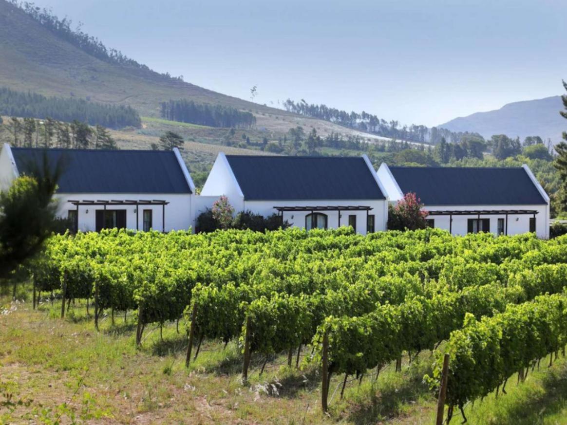 Chambray Estate - The Terraces In The Vines Bed & Breakfast Franschhoek Exterior foto