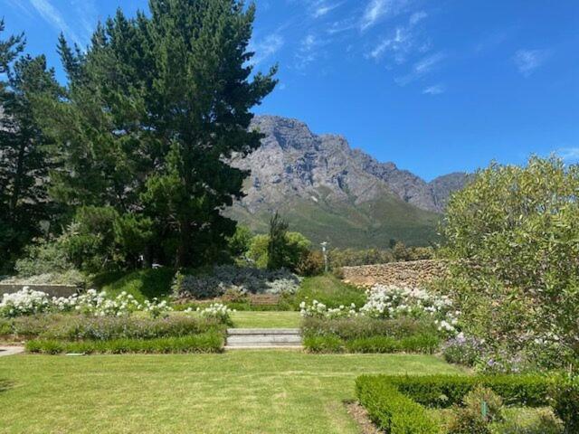 Chambray Estate - The Terraces In The Vines Bed & Breakfast Franschhoek Exterior foto