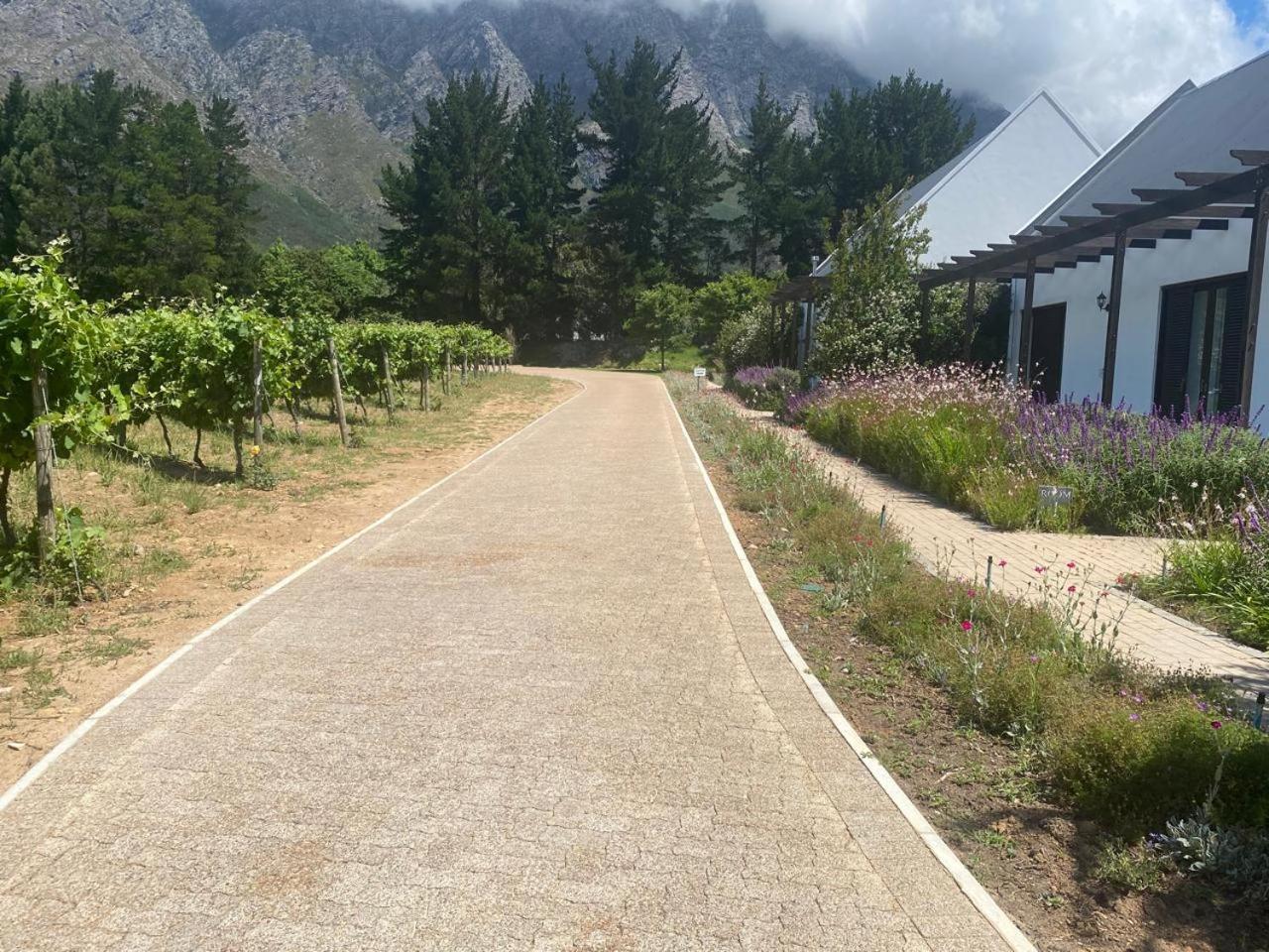 Chambray Estate - The Terraces In The Vines Bed & Breakfast Franschhoek Exterior foto